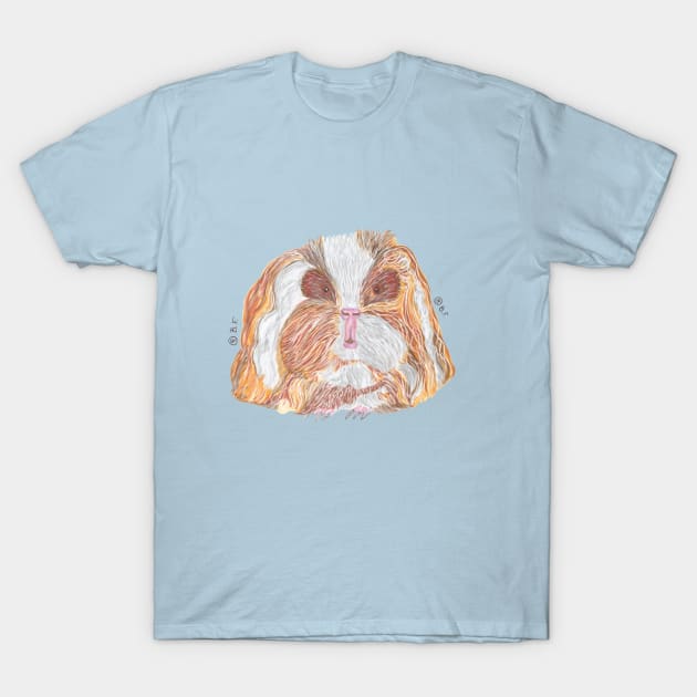 TEXEL GUINEA PIG T-Shirt by BeritValk